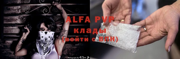 ПСИЛОЦИБИНОВЫЕ ГРИБЫ Баксан